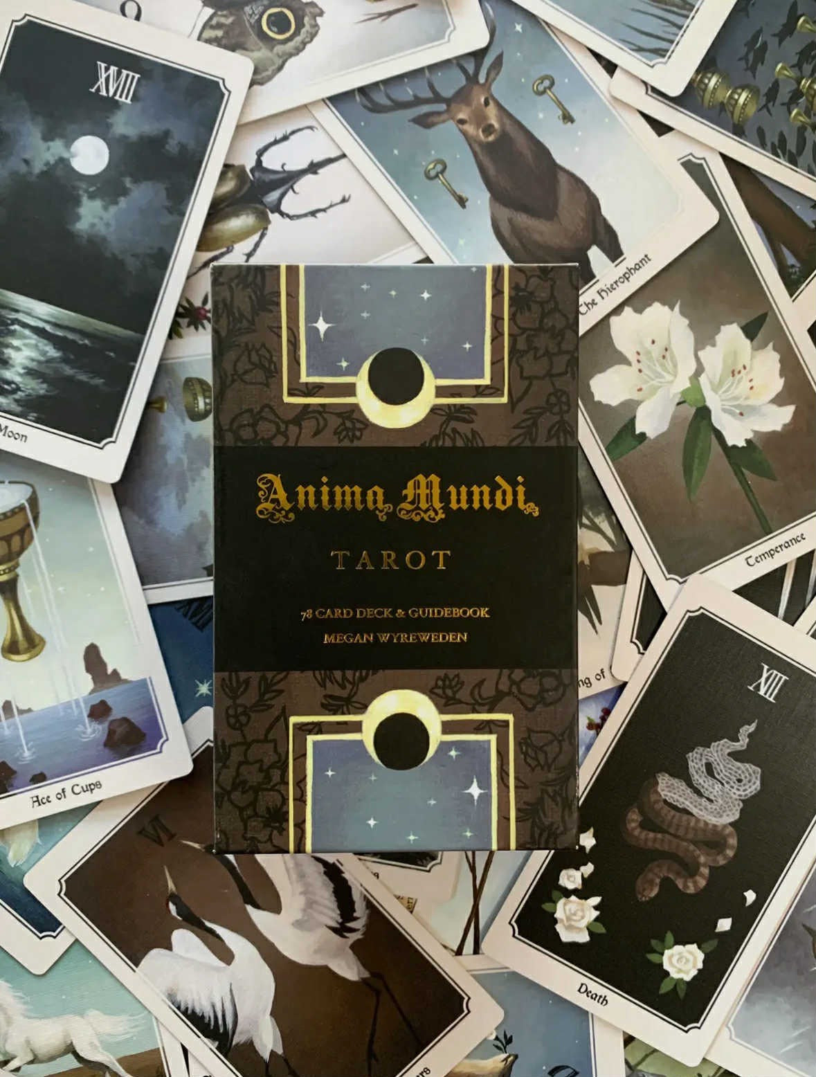 Anima Mundi Tarot Deck