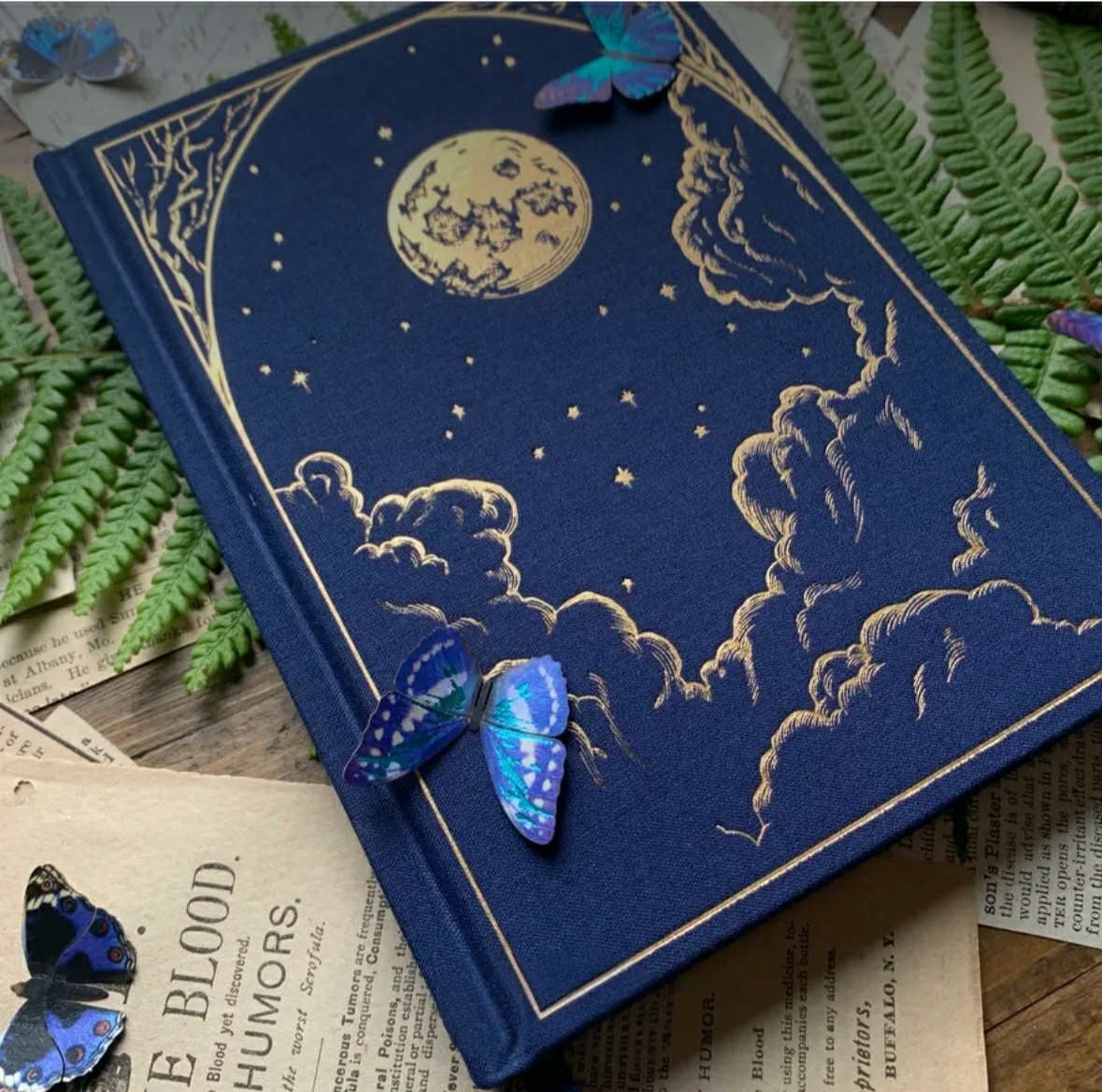 The Astronomer Notebook