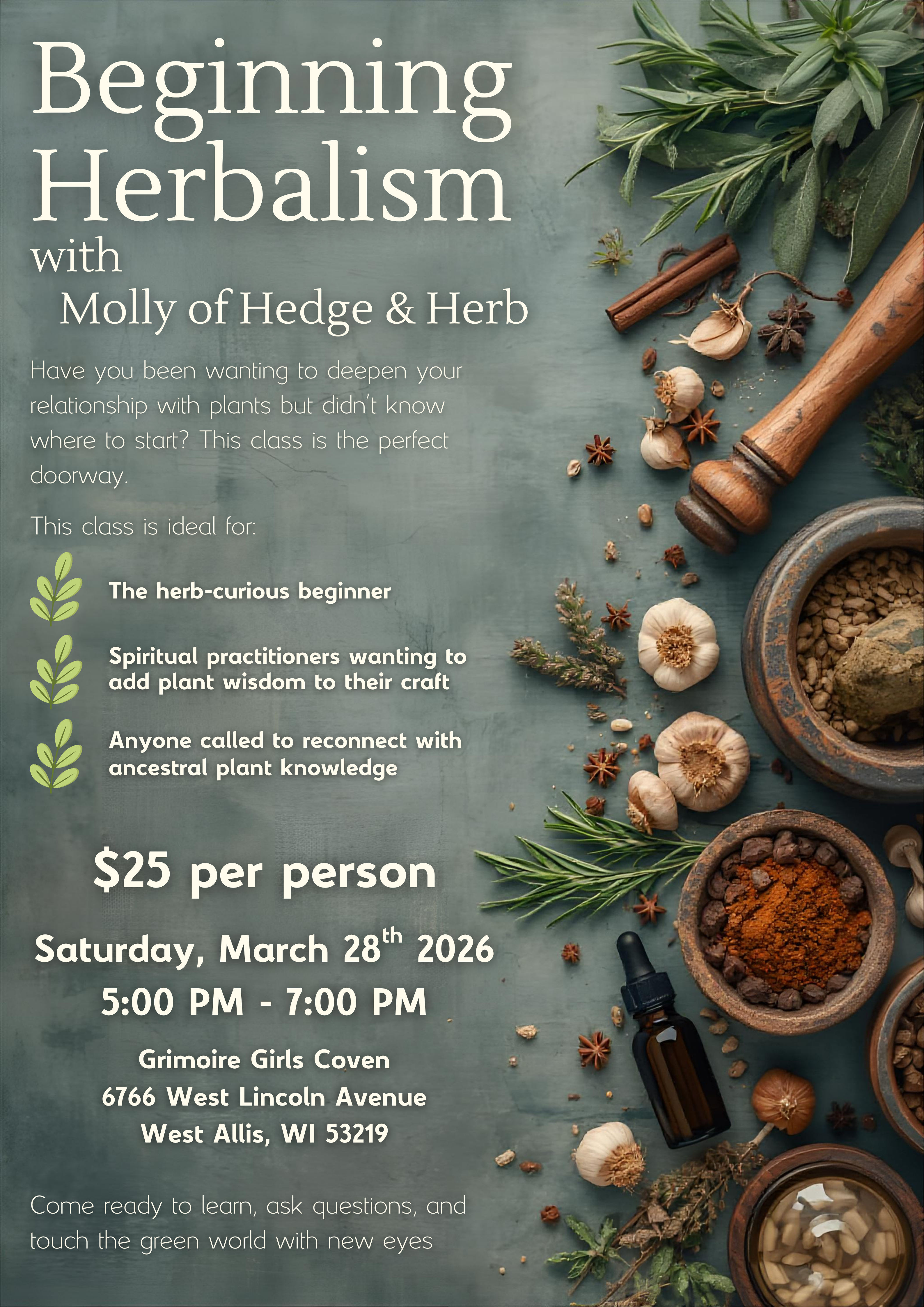Beginning Herbalism with Molly